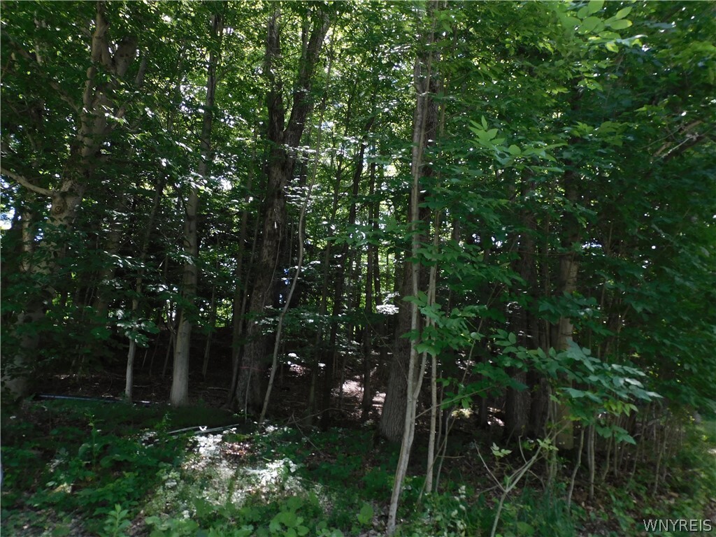 Property Photo: 14 Woodstock Rd Road NY 14069