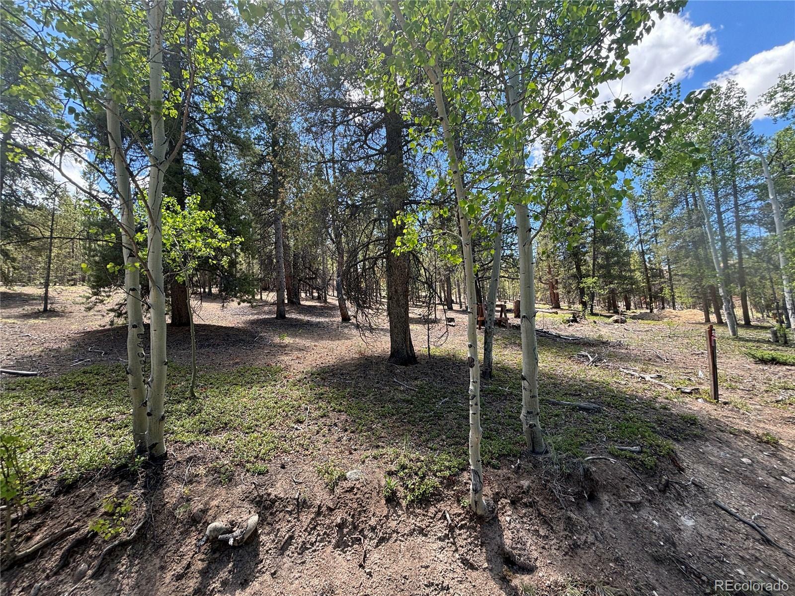 Property Photo:  738 Lodgepole Drive  CO 81251 