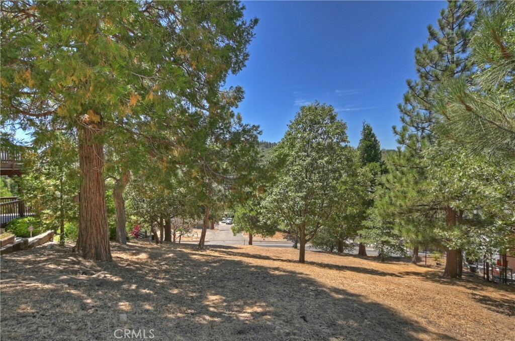 Property Photo:  0 Grass Valley Road  CA 92352 