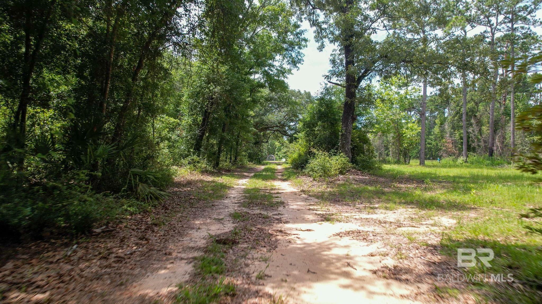 Property Photo:  11167 McKenzie Road  AL 36532 