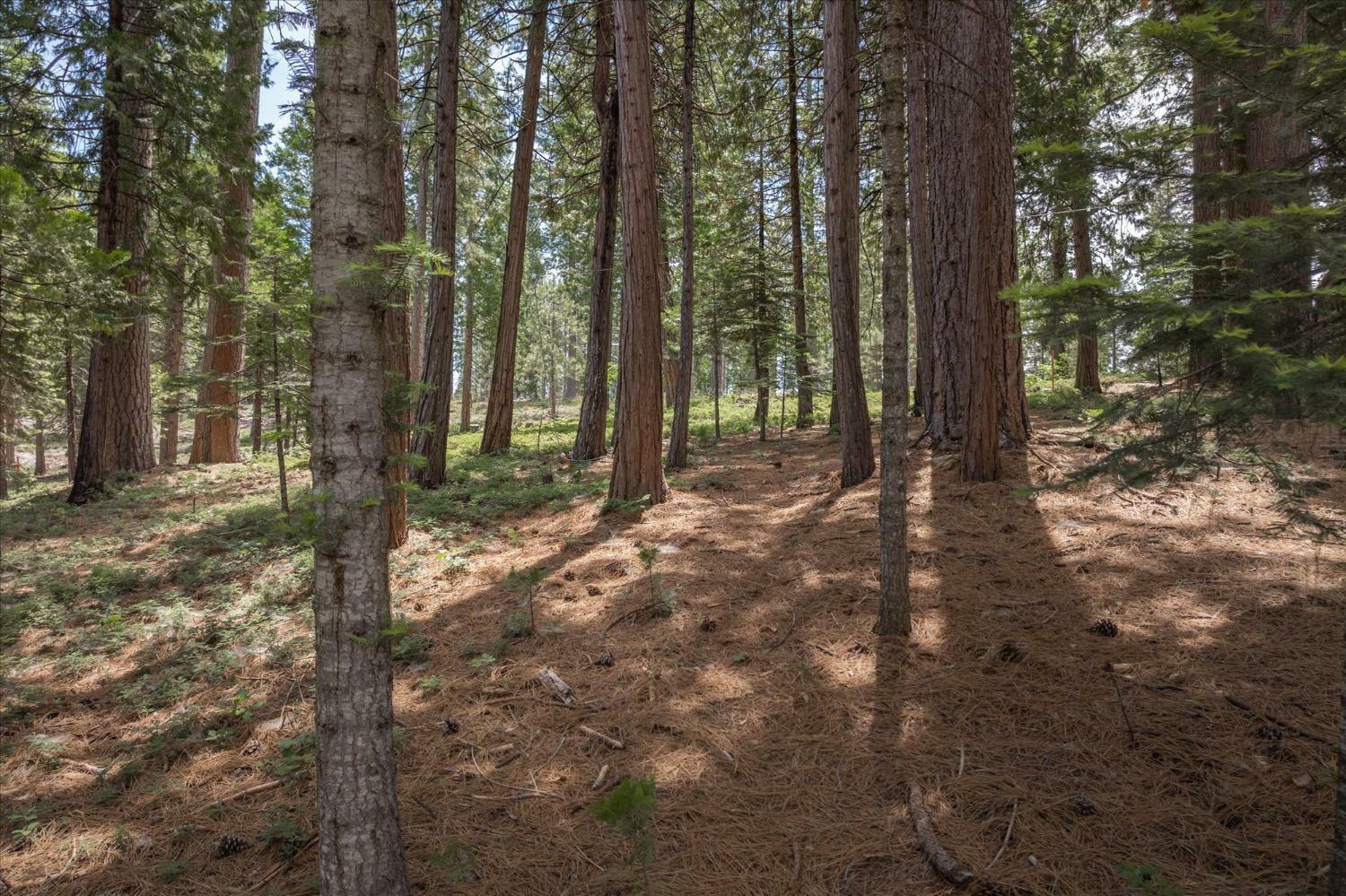 Property Photo:  2092 Mokelumne Road  CA 95223 