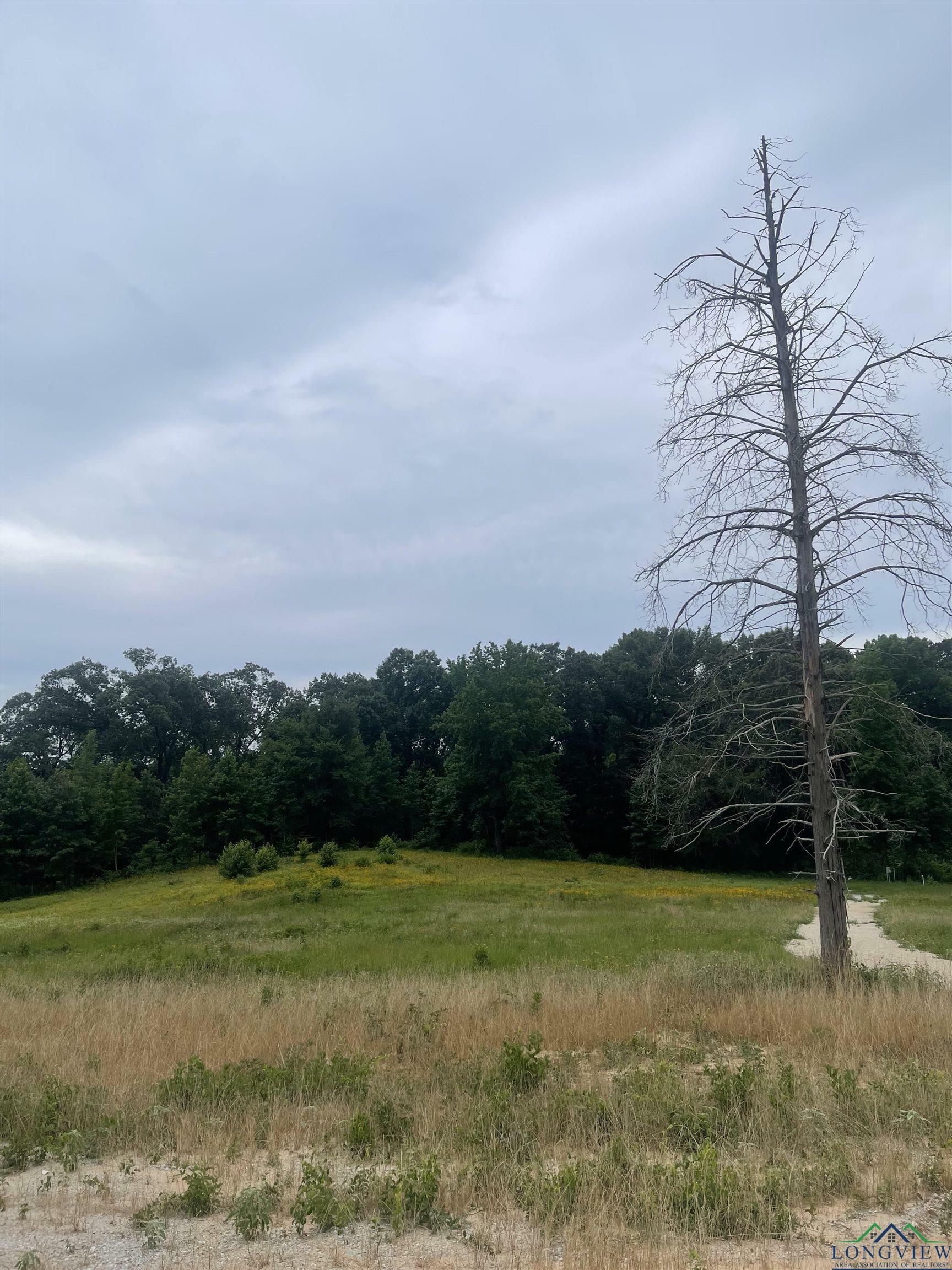 Property Photo:  16706 Ridgeline Loop Lot 96 Star Mountain Ranch  TX 75792 