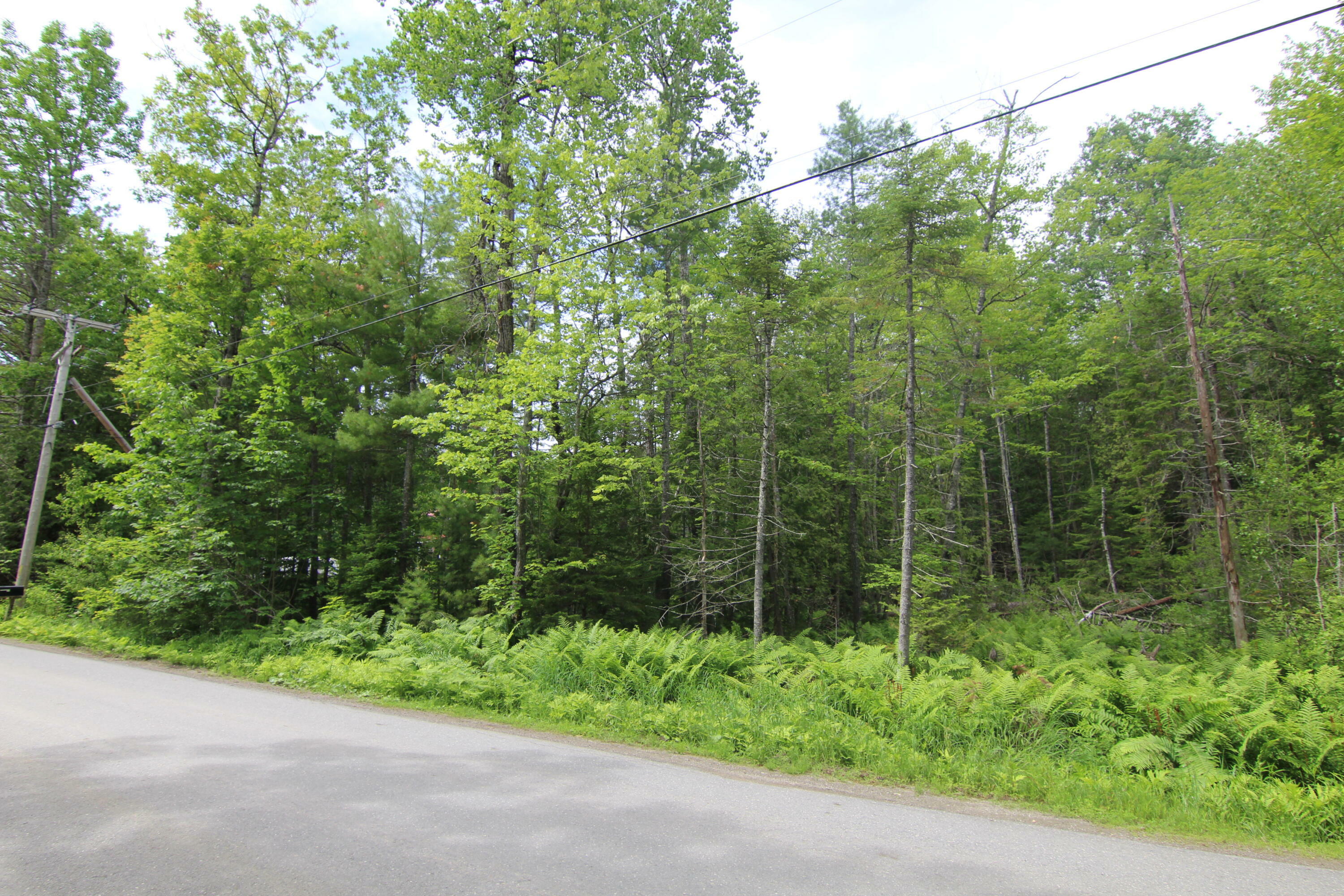 Property Photo:  Lot 37C Brewer Lake Road  ME 04474 