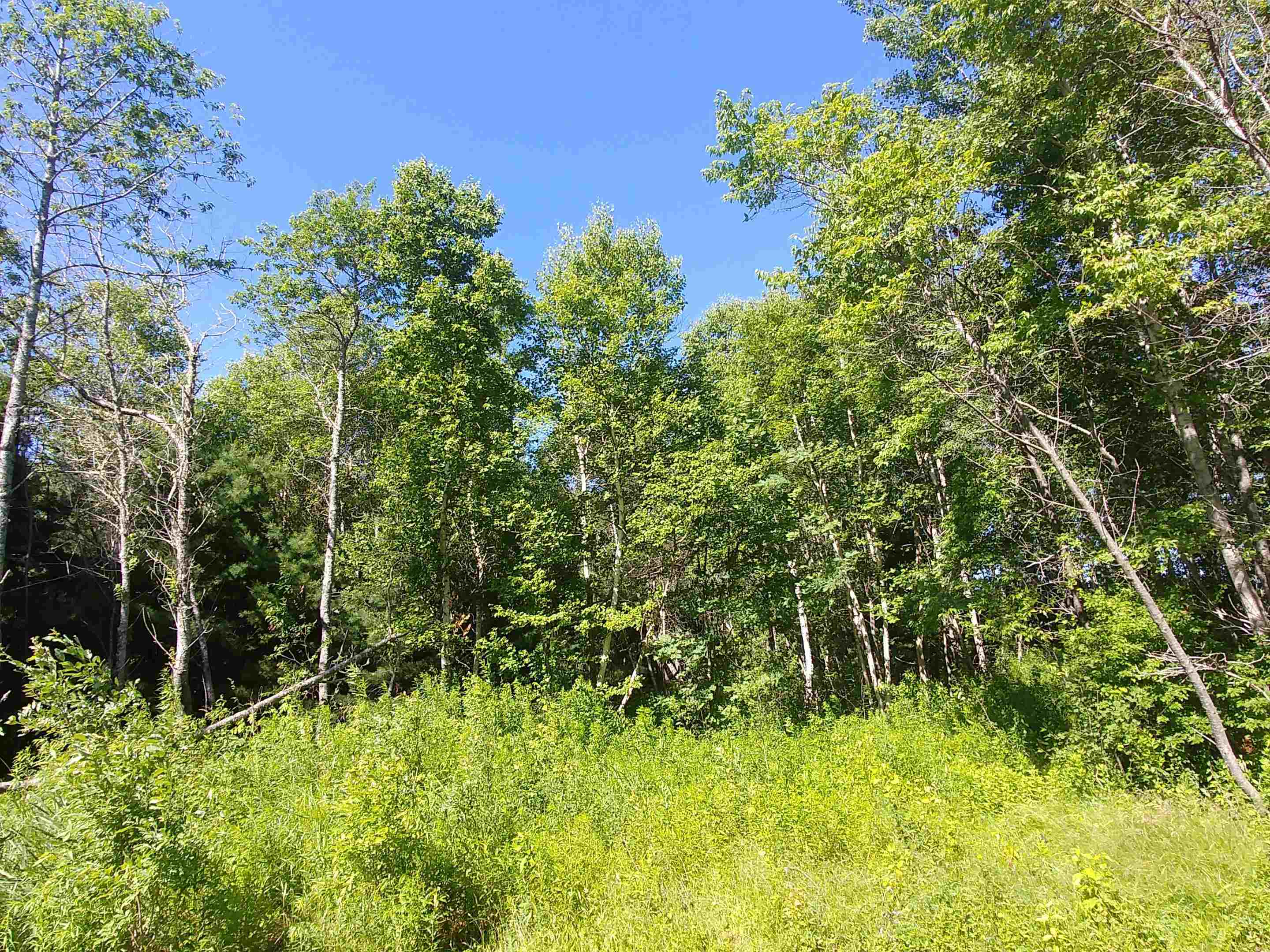 Photo de la propriété:  Lot 9 Birch Lane Lane  PE C0A 1L0 