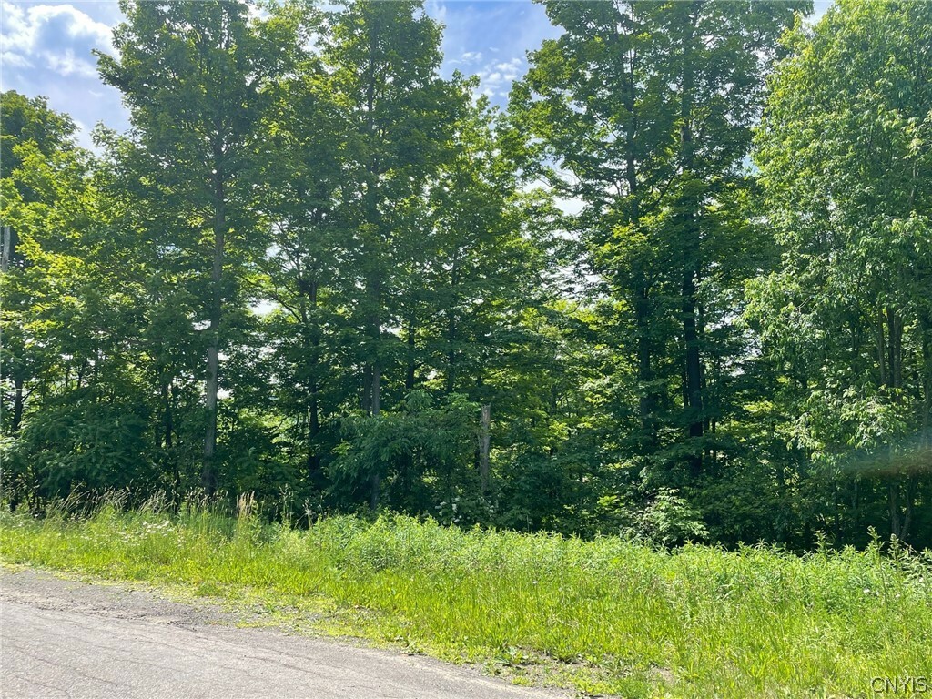 Property Photo:  2002 Amalia Drive  NY 13045 