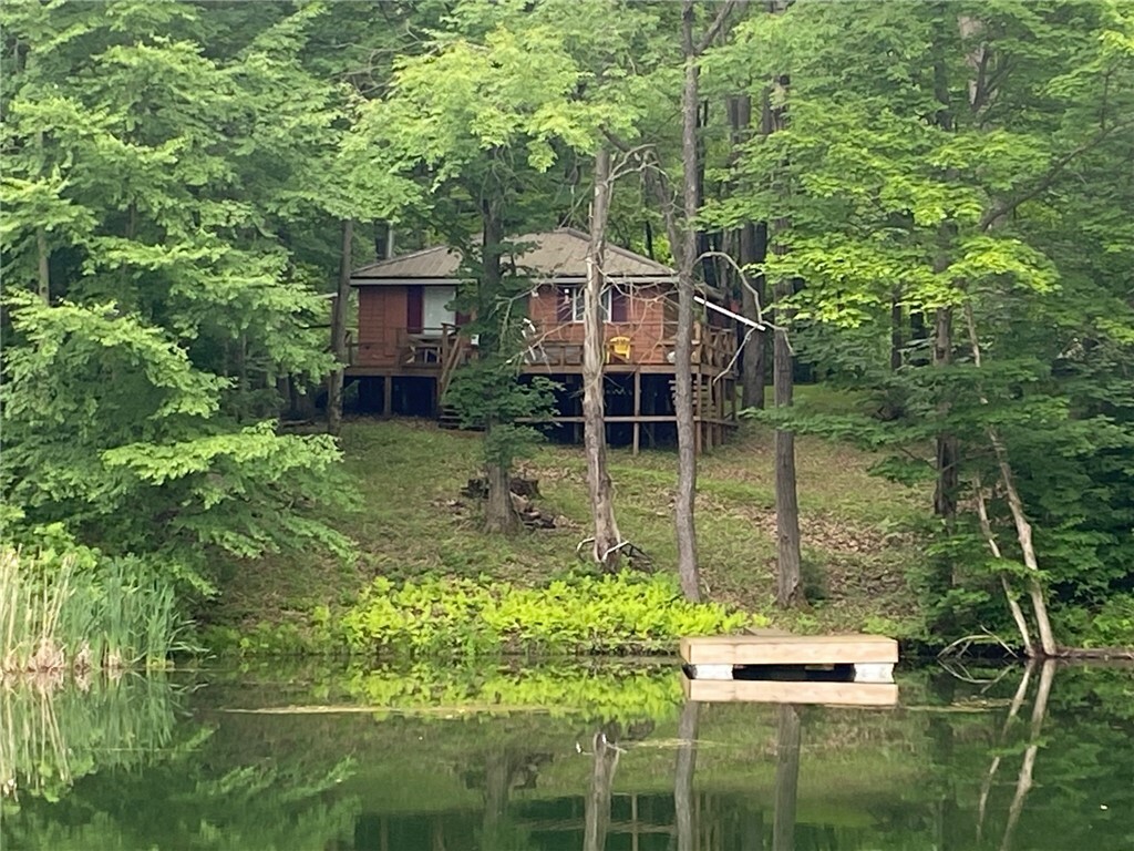 Property Photo:  00 Munson Road  NY 14747 