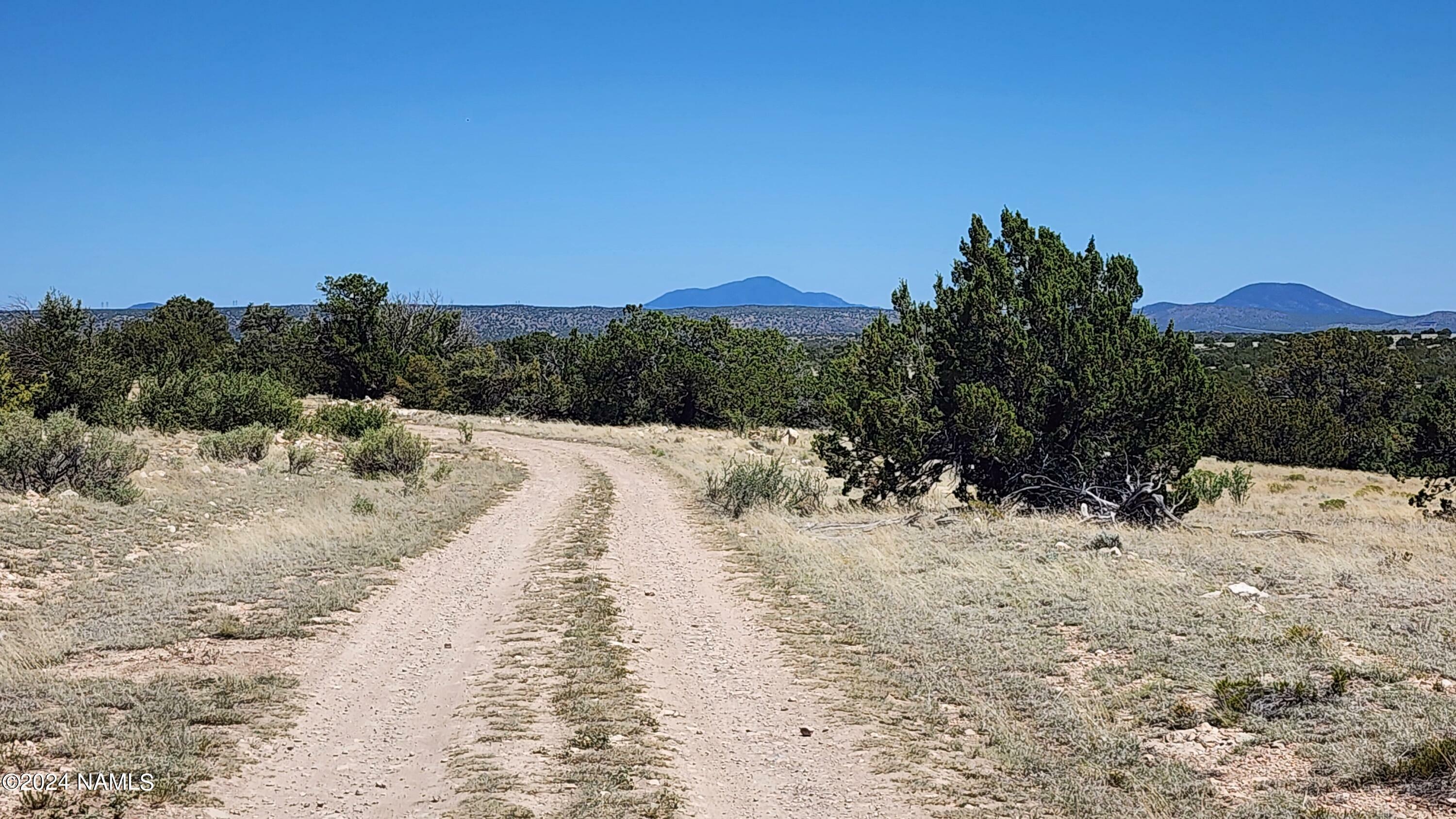 Property Photo:  4235 W Clove Hitch Road  AZ 86046 