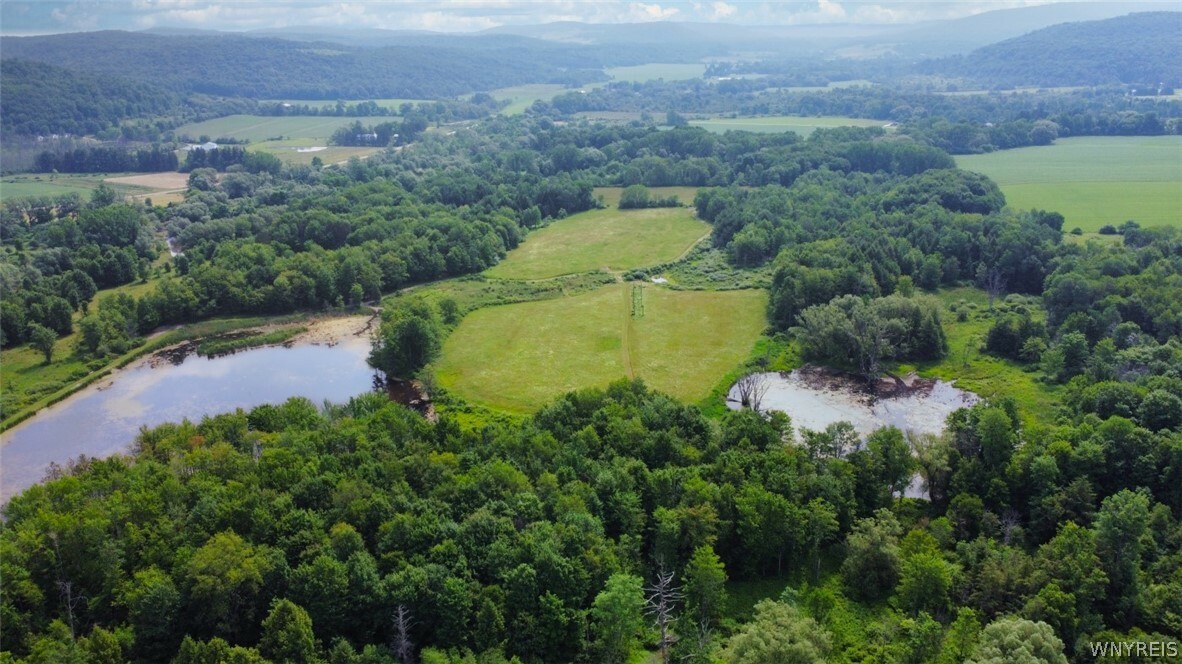 Property Photo: 0 Toad Hollow Road NY 14755