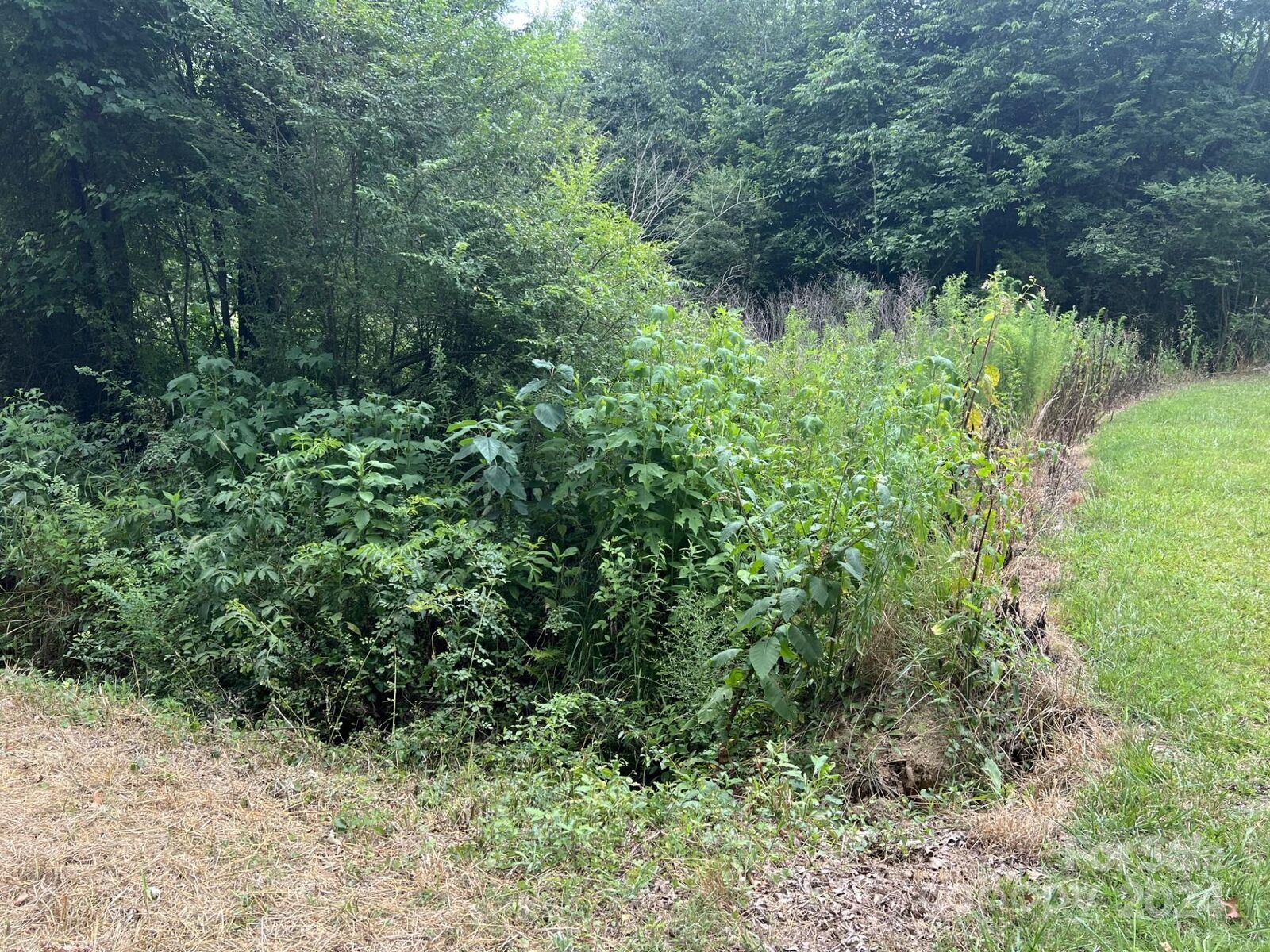 Property Photo:  00 Cottonville Road  NC 28128 