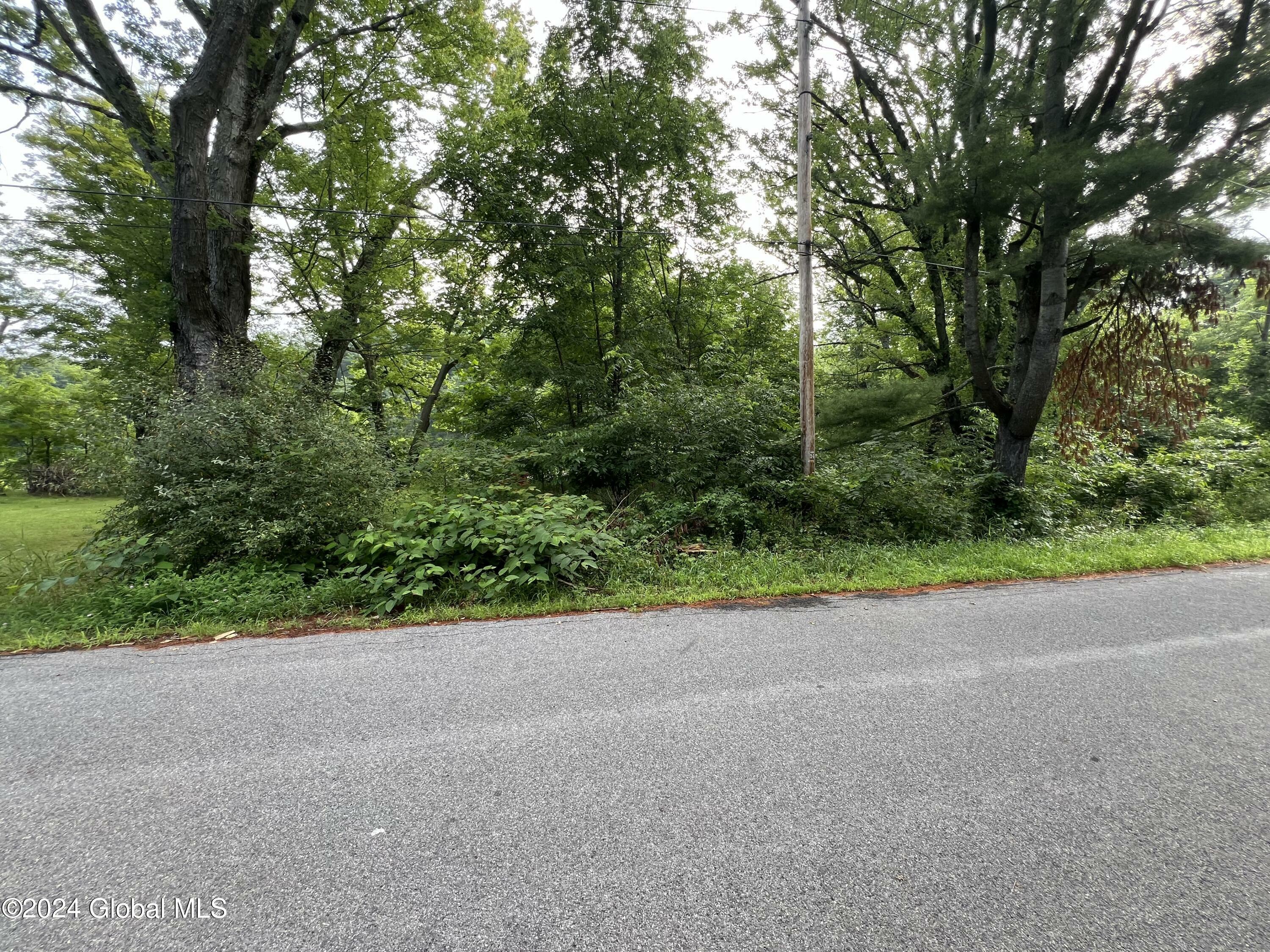 Property Photo:  L19.1-24-8 Priddle Road  NY 12066 