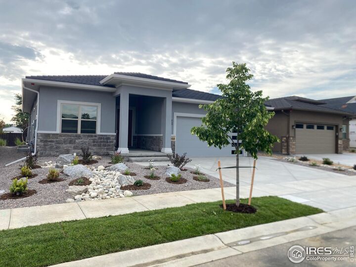 1168 Blue Agave Ct  Loveland CO 80537 photo