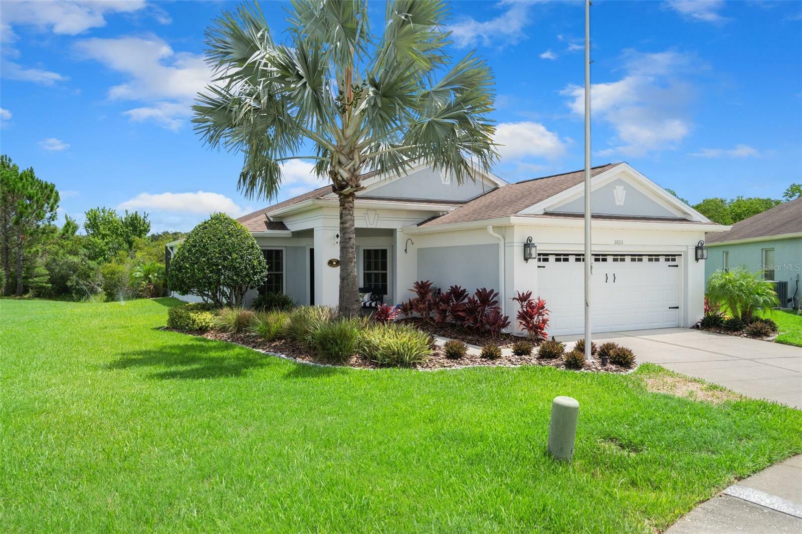 Property Photo:  5605 Sir Barton Court  FL 33544 