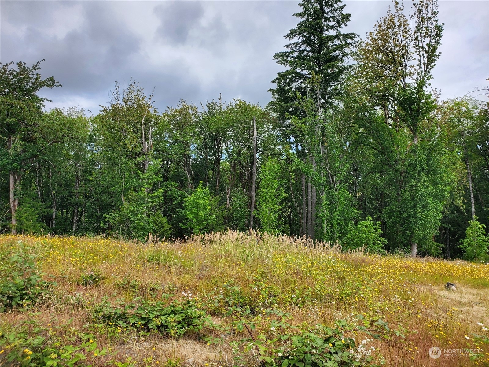 Property Photo:  911 SE Mill Creek Road  WA 98584 