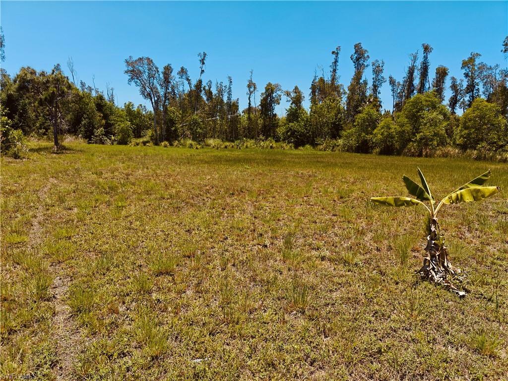 Property Photo:  5577 Royal Okley Ln  FL 33922 