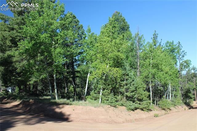 Property Photo: 646 Pinewood Road CO 80816