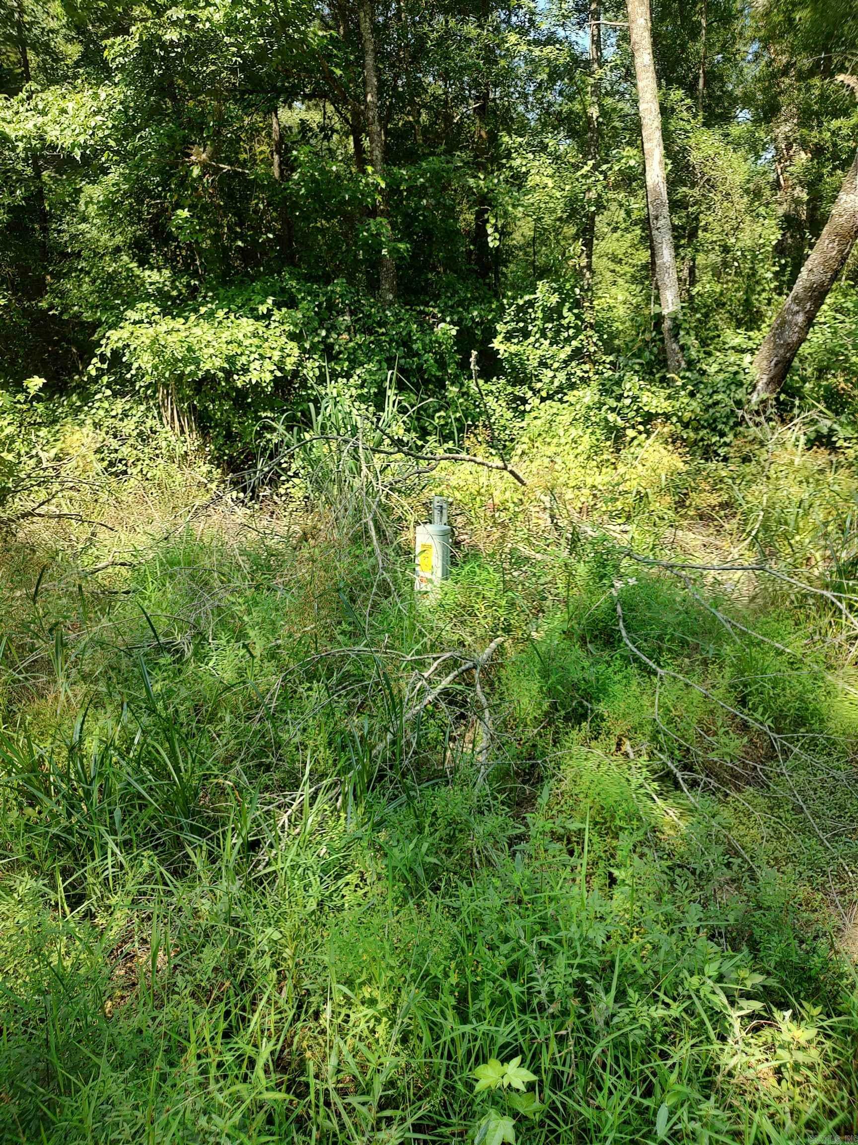 Property Photo: 80 Acres Calhoun 199 Road AR 71744