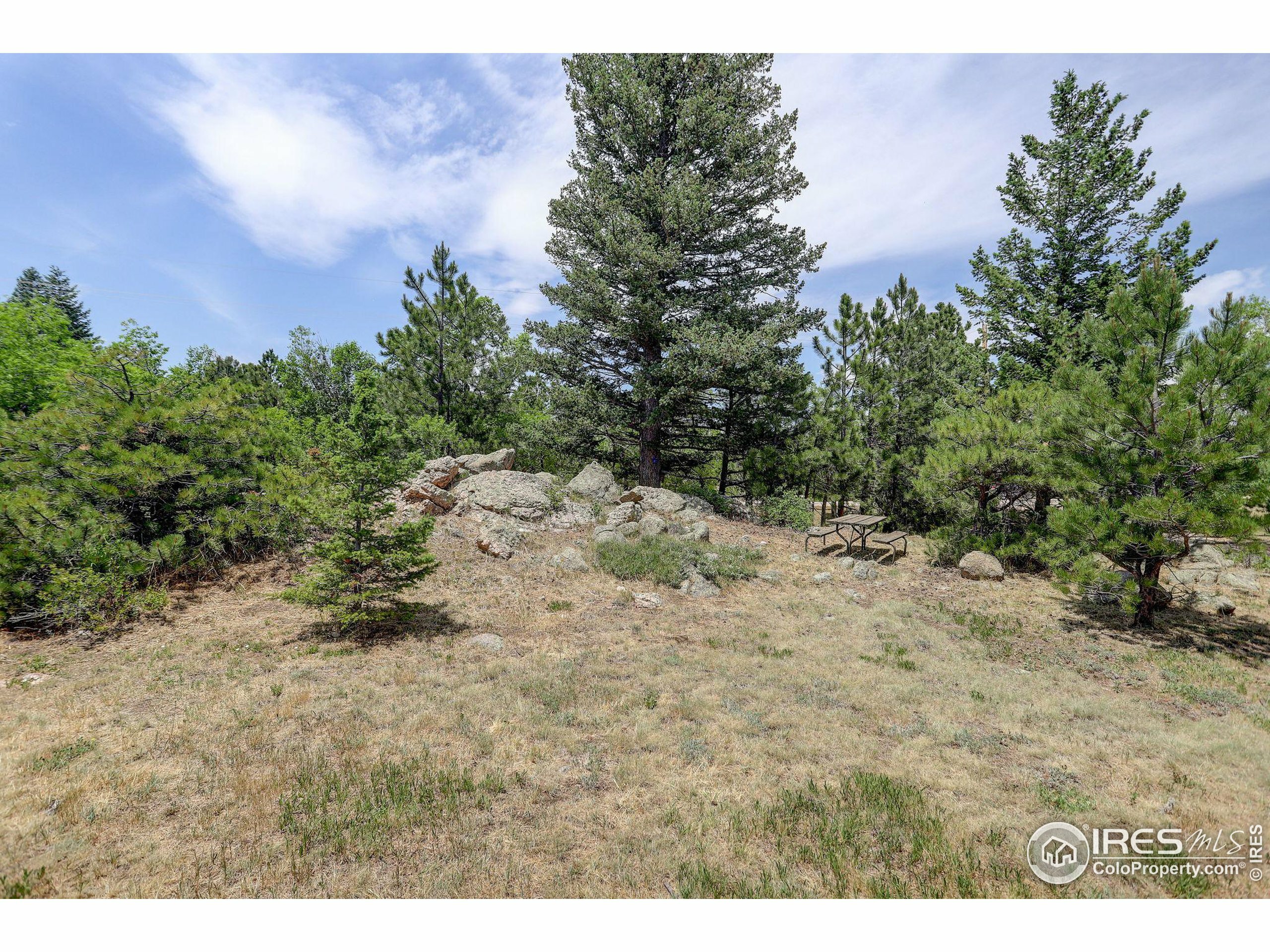 Property Photo: 107 Deer Trail Rd CO 80302