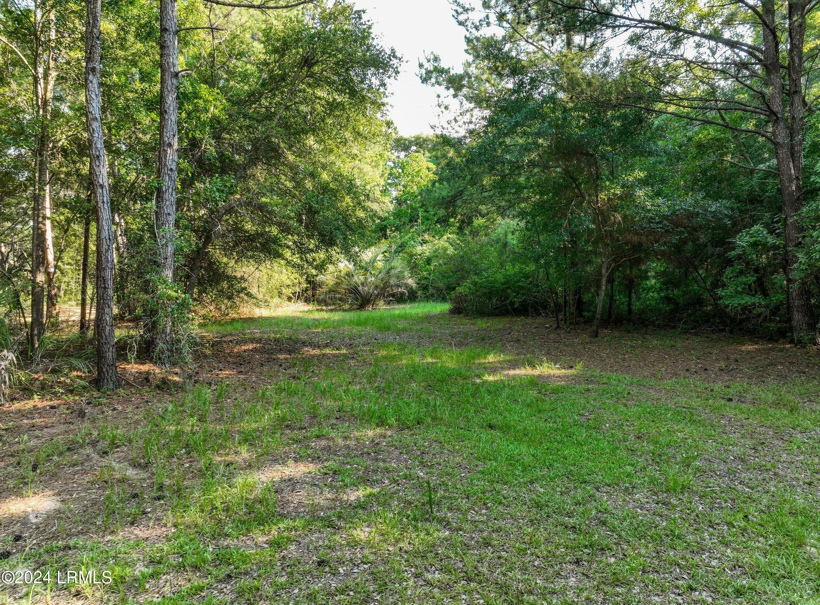 Property Photo:  259 E Sea Biscuit Lane  SC 29907 