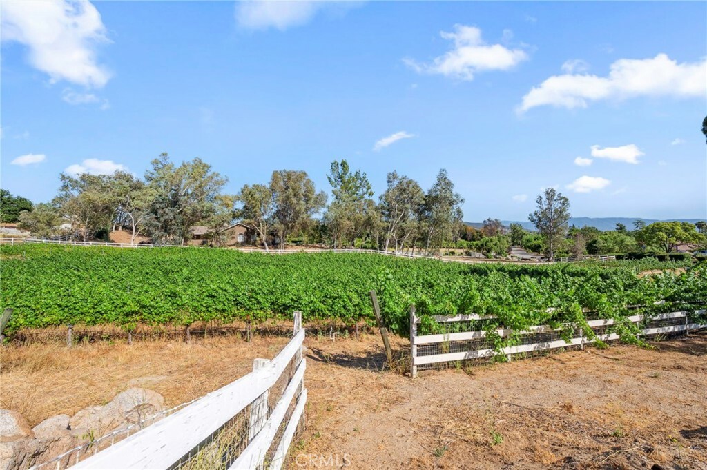 Property Photo:  38900 Avenida Arriba  CA 92592 