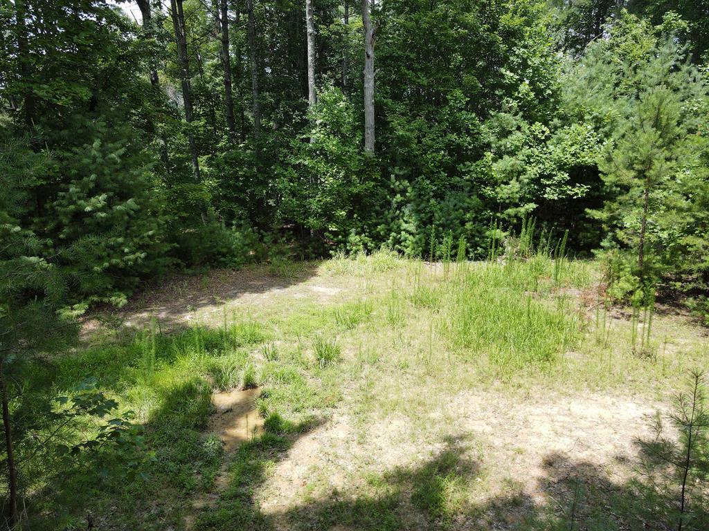 Lot 3 Scouts Overlook Lane  Morganton GA 30560 photo