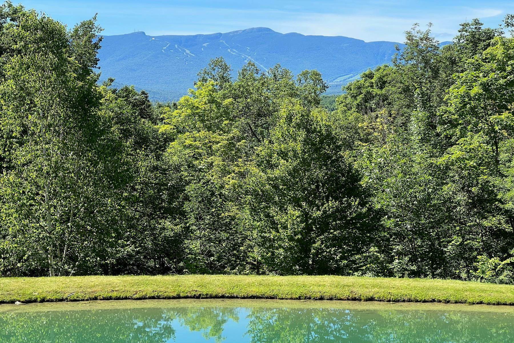 Property Photo:  288 Upper Pinnacle Road  VT 05672 