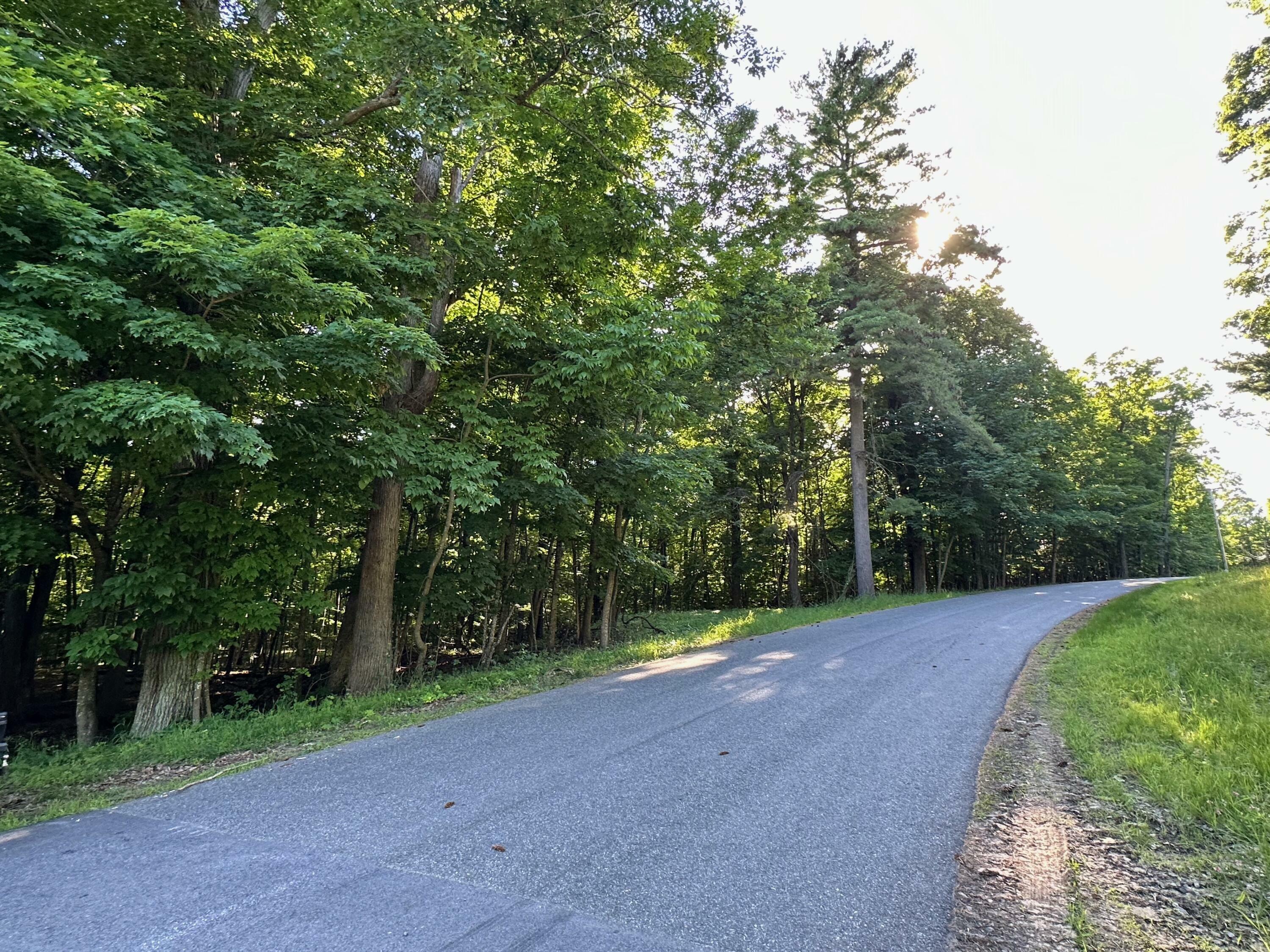 Property Photo: 0 Trembleau Road NY 12944