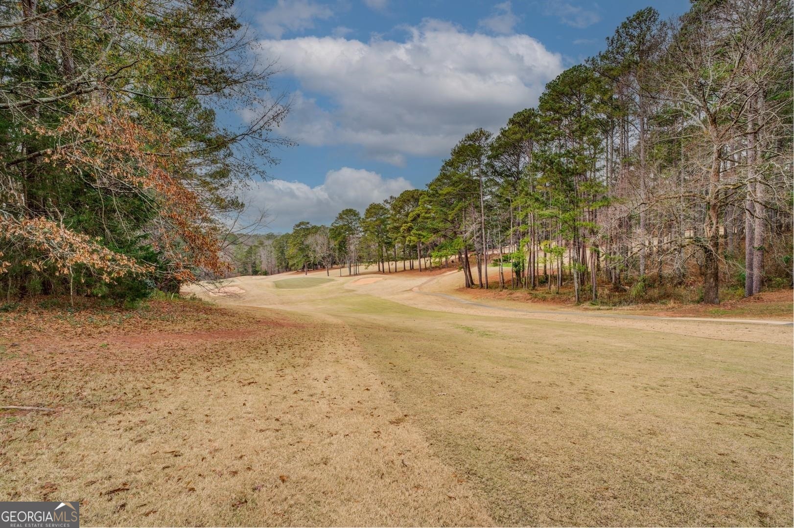 Property Photo:  760 Turtle Cove Trwy  GA 31064 