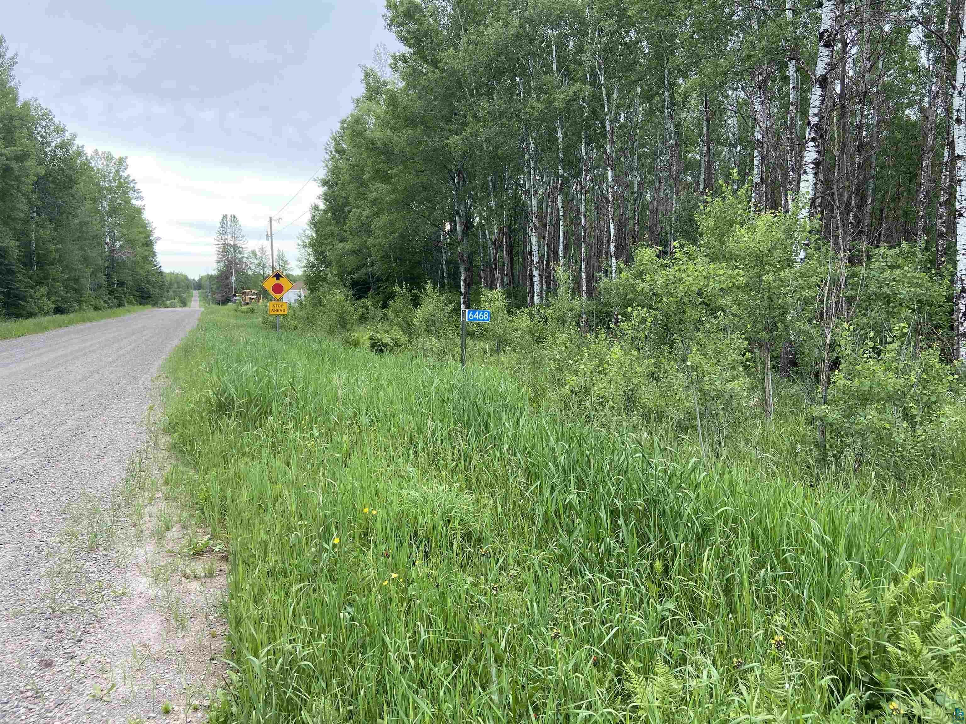 Property Photo:  6468 Murphy Lake Rd  MN 55602 