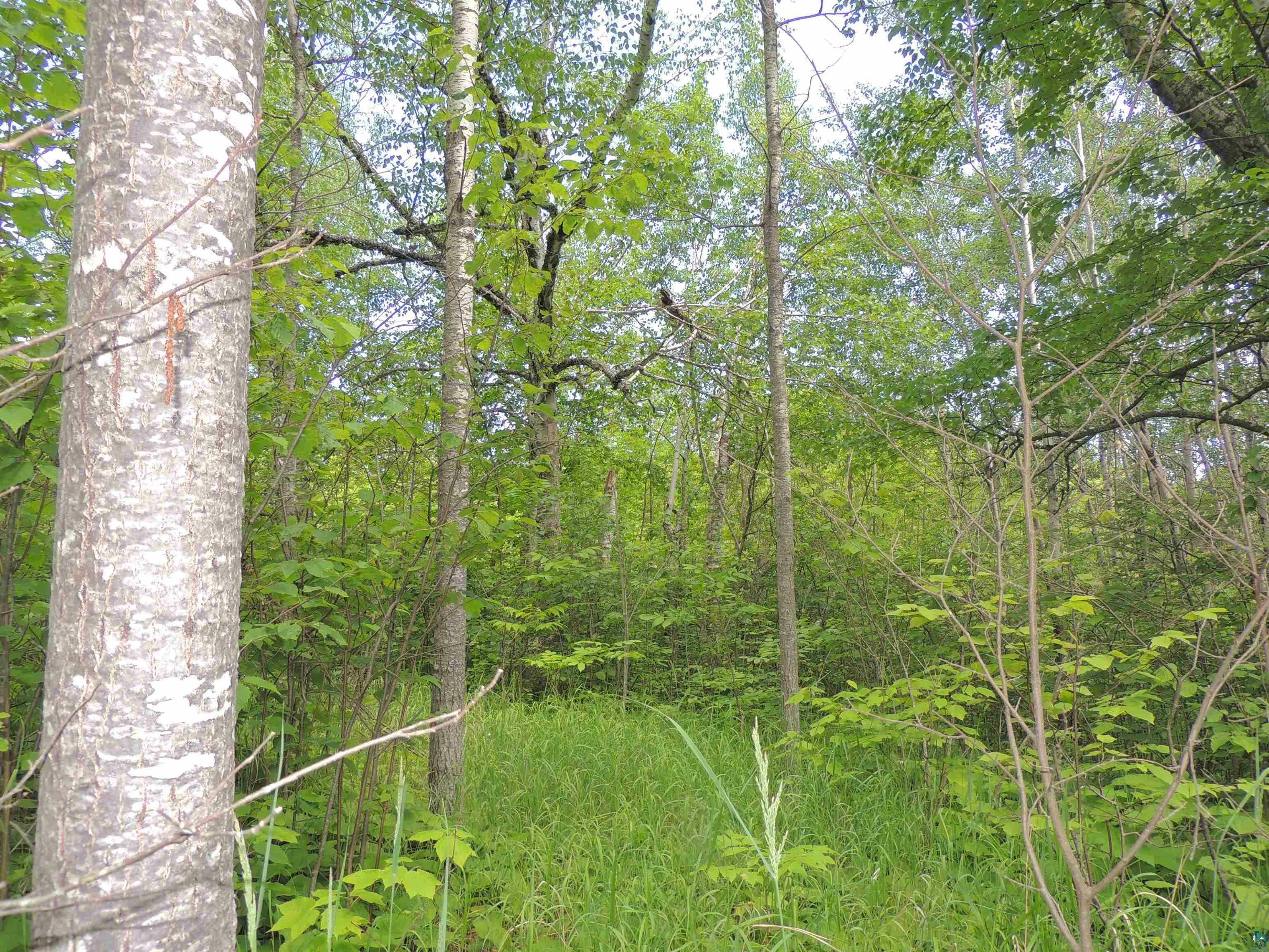 Property Photo:  Xx Murphy Dr Lot 3 Block 1  MN 55604 