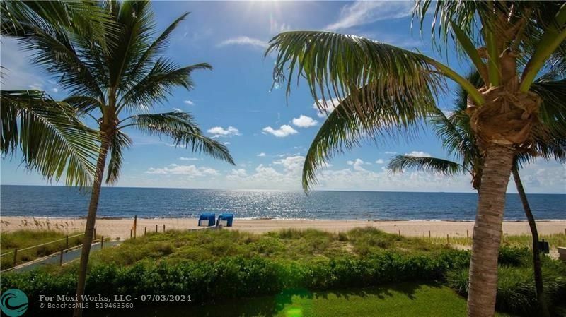 Property Photo:  2005 Ocean Walk Ter 303  FL 33062 