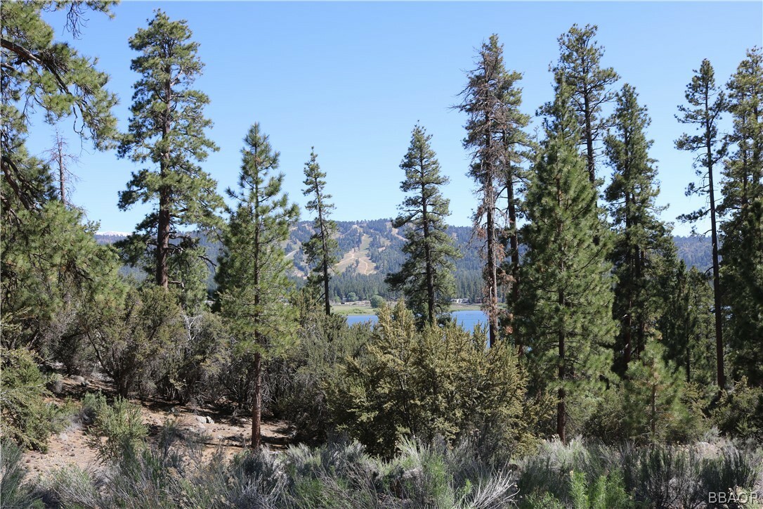 Property Photo:  14 Lakeview Tract  CA 92333 