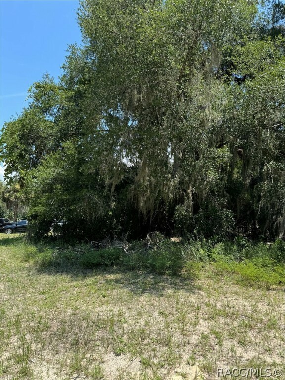 Property Photo:  561 NE 13th Terrace  FL 34428 