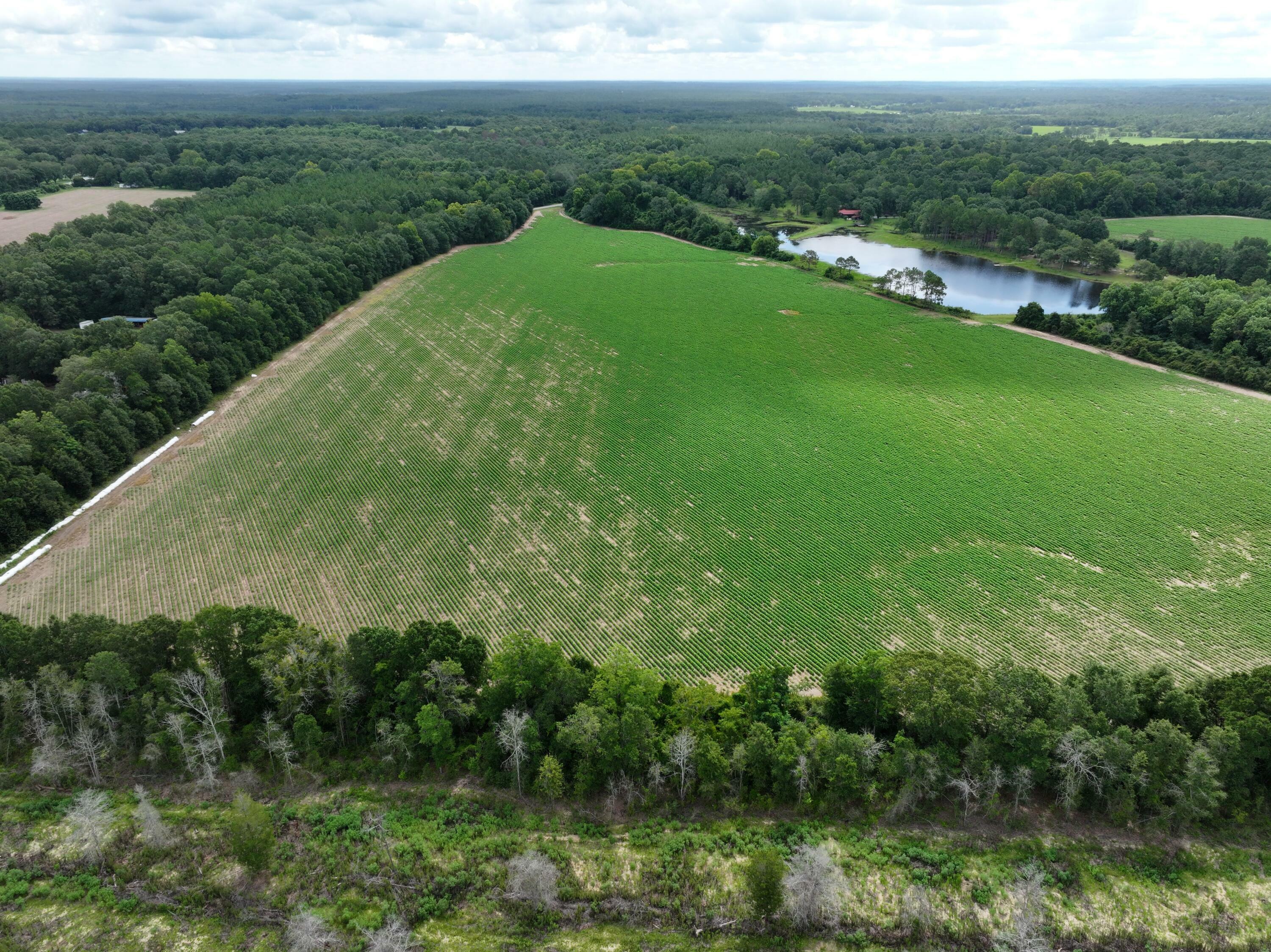 Property Photo: Xx N Co Highway 285 FL 32433