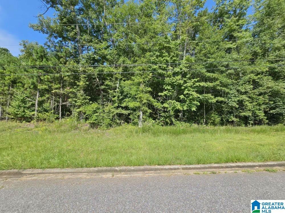 Property Photo:  Lot 5 Woodhaven Drive 5  AL 35128 