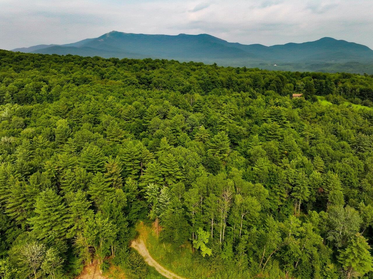 Property Photo: Lot 4 Piney Grove Lane VT 05489