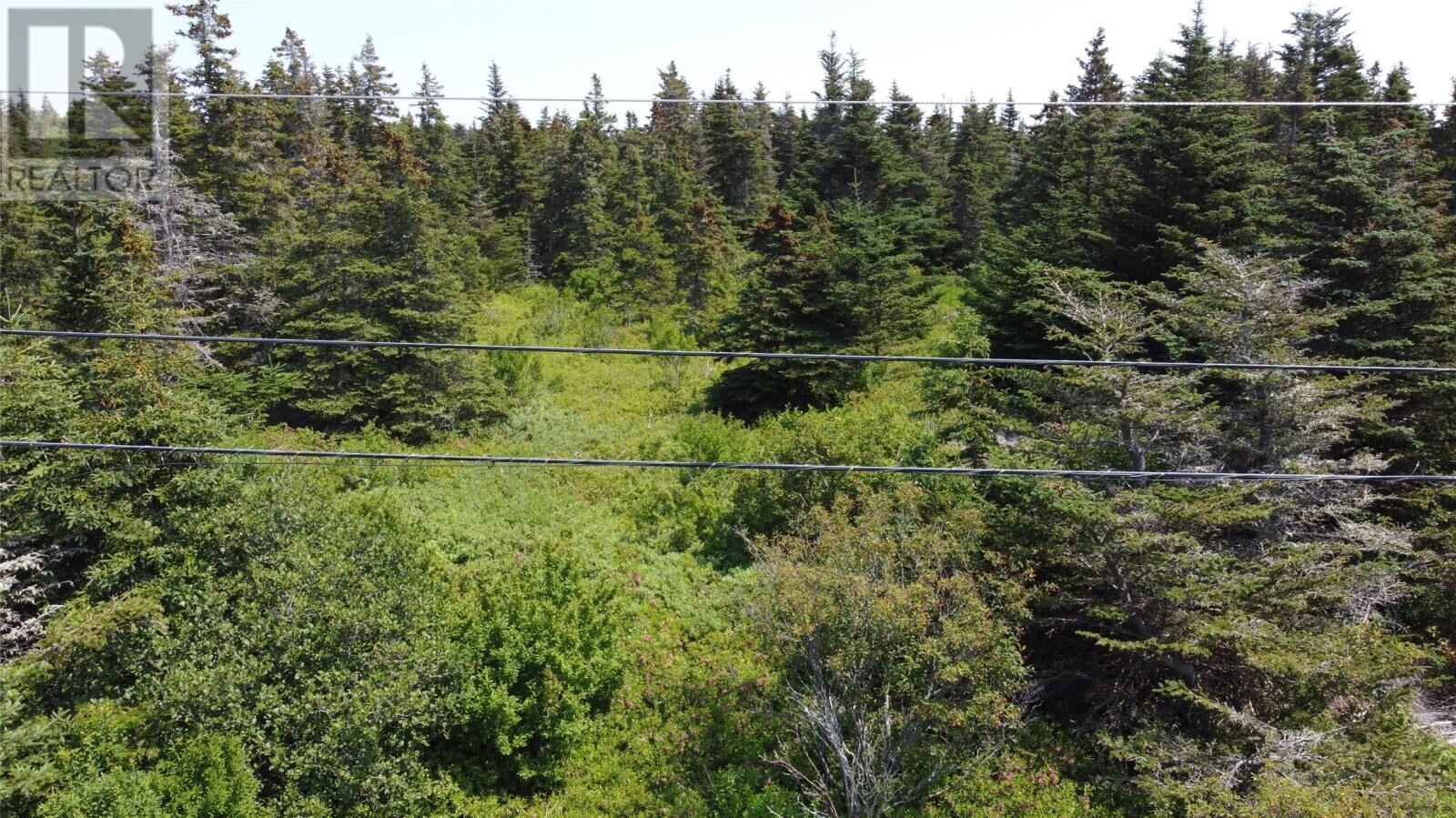 Property Photo:  0 McNamara Crescent  NL A0A 2M0 
