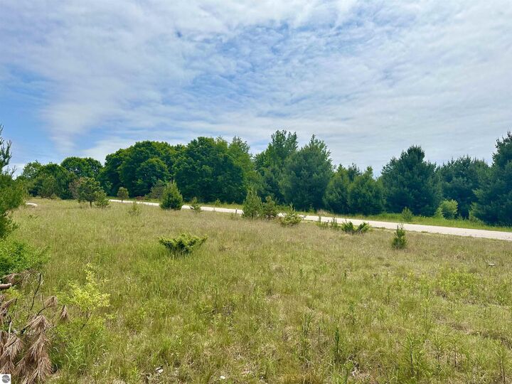 Property Photo: 19 High Meadow Trail MI 49635