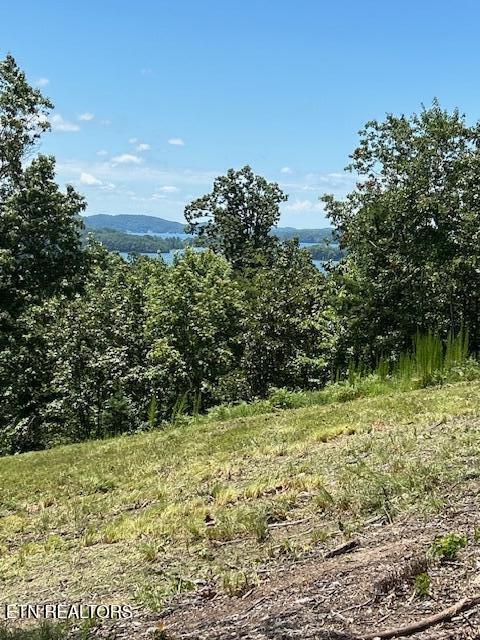 Property Photo:  W Mountain Drive  TN 37854 