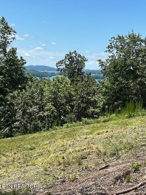 Property Photo: W Mountain Drive TN 37854