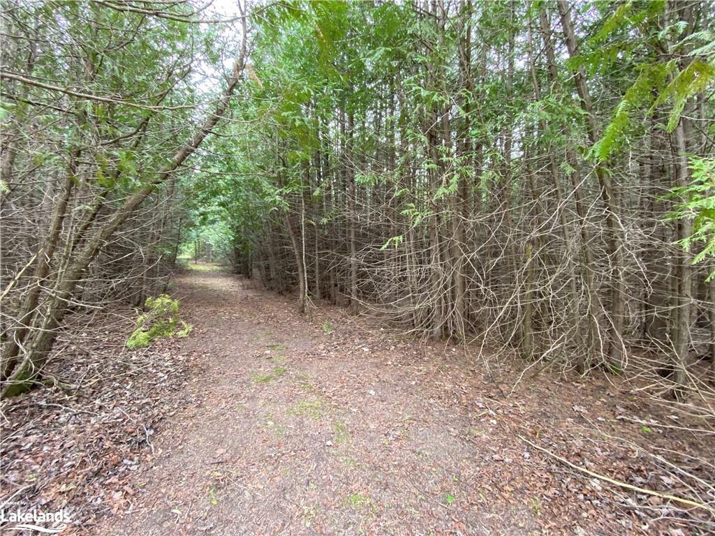 Property Photo:  Part Lot 9 Concession  14 Osprey The Blue Mountains Townline  ON N0H 2E0 