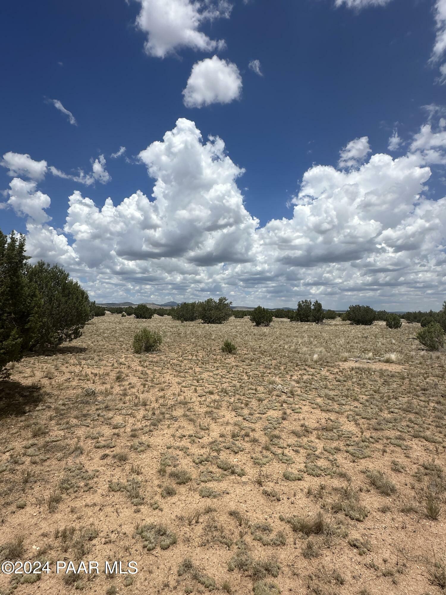 Property Photo:  Lot 118D Prairie Dog Rd  AZ 86320 