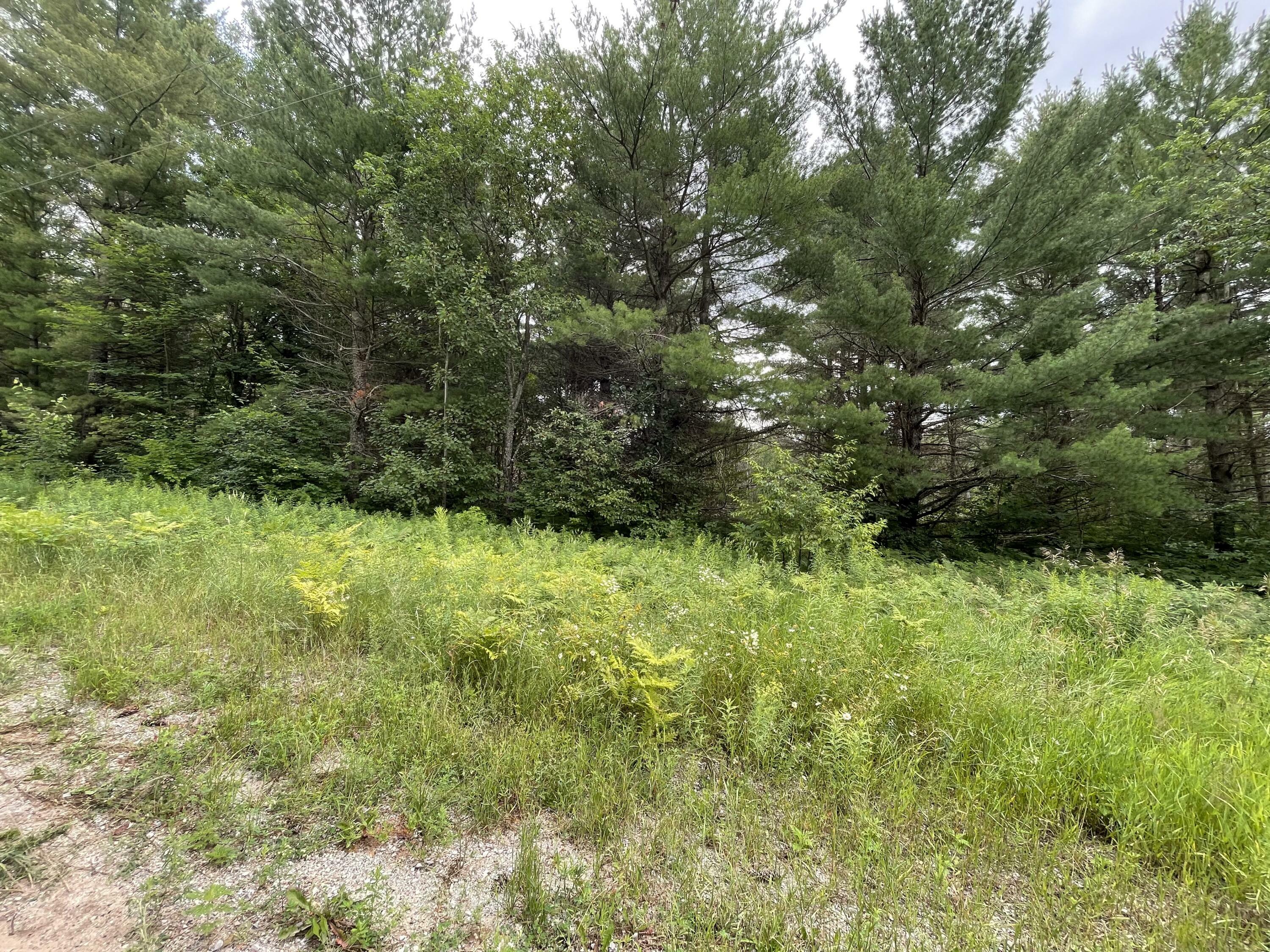 Property Photo:  Shiawassee Trail  MI 49735 