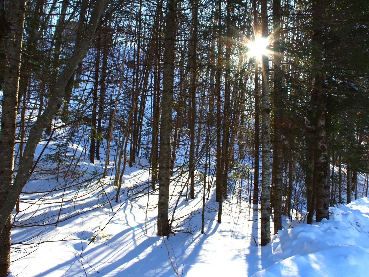 Property Photo:  Outlot 1 Skye Dr  WI 54565 