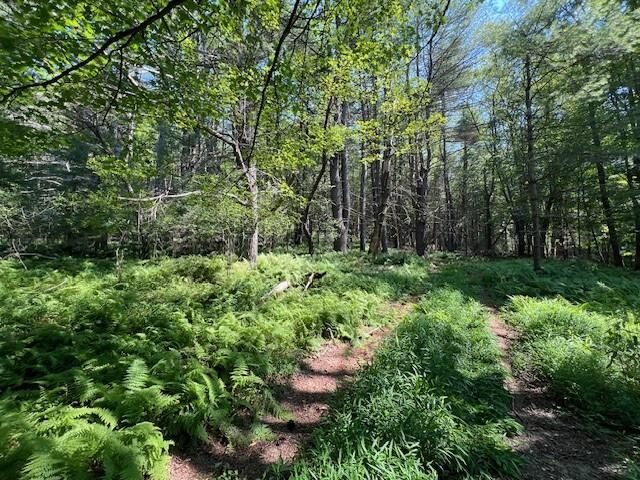 Property Photo:  Lot 47.2 High Road  NY 12737