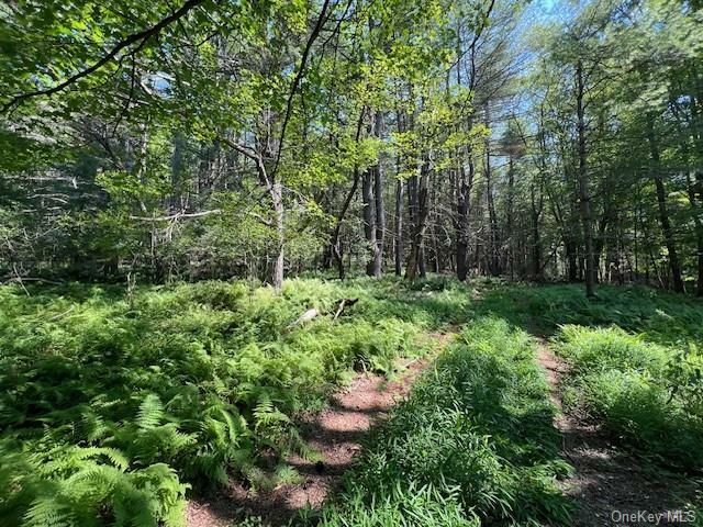 Property Photo:  Lot 47.2 High Road  NY 12737 