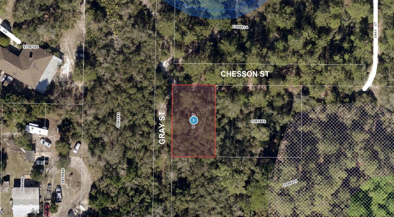 Property Photo:  0 Chesson Street  FL 34788 