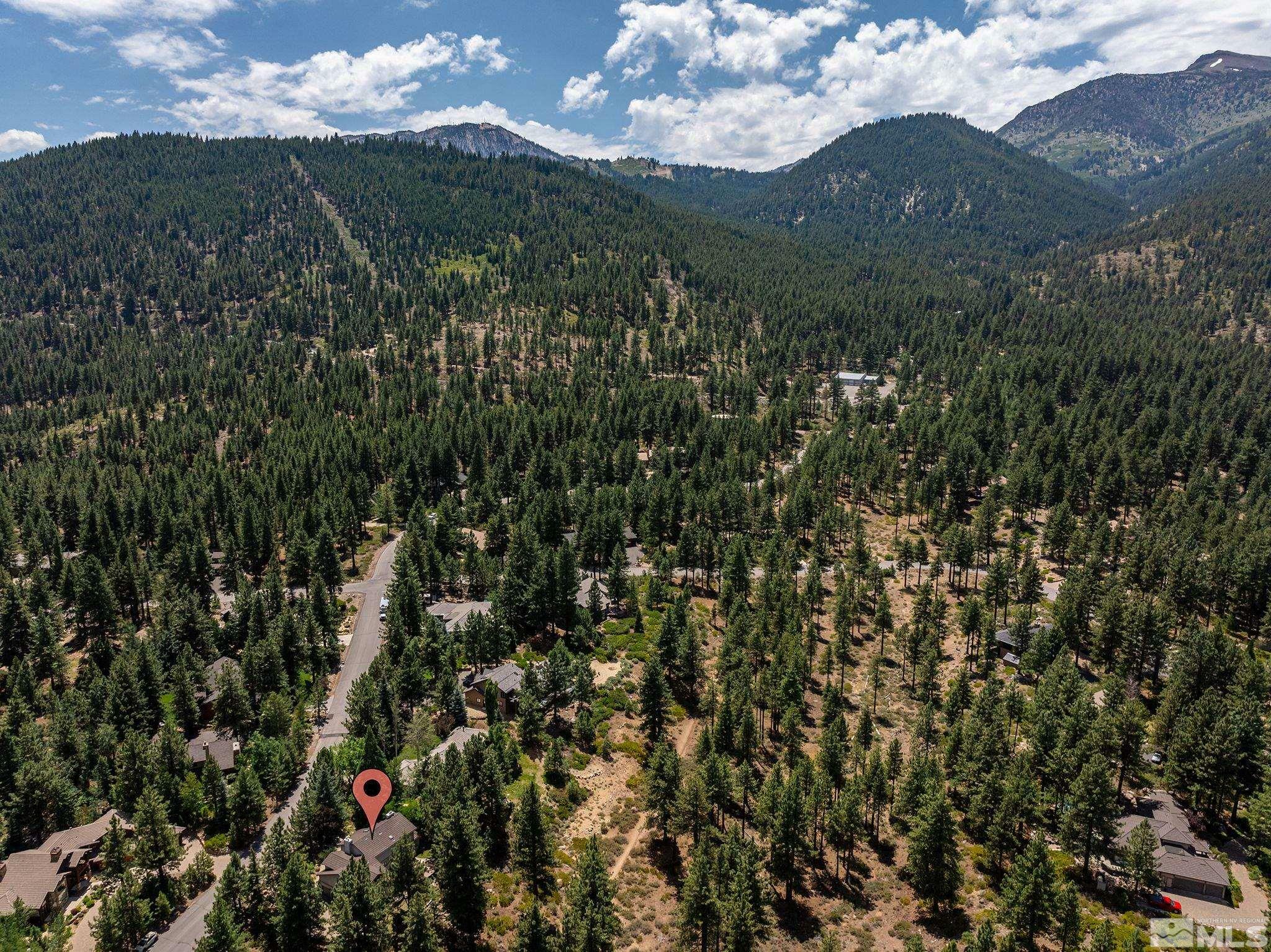 Property Photo:  900 Douglas Fir Drive  NV 89511 