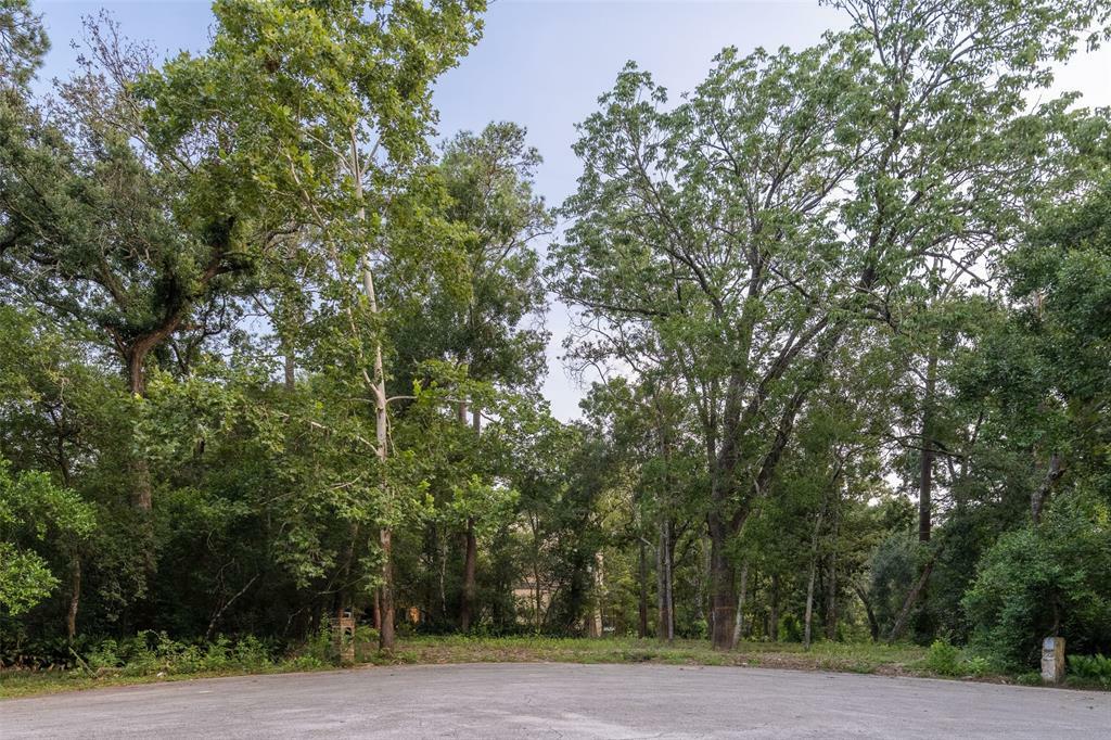 Property Photo:  11685 Arrowwood Circle  TX 77063 