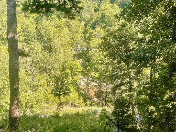 Property Photo: 15909 Kedzie Circle AR 72758