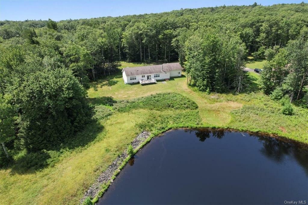 Property Photo:  465 County Route 56  NY 12790 